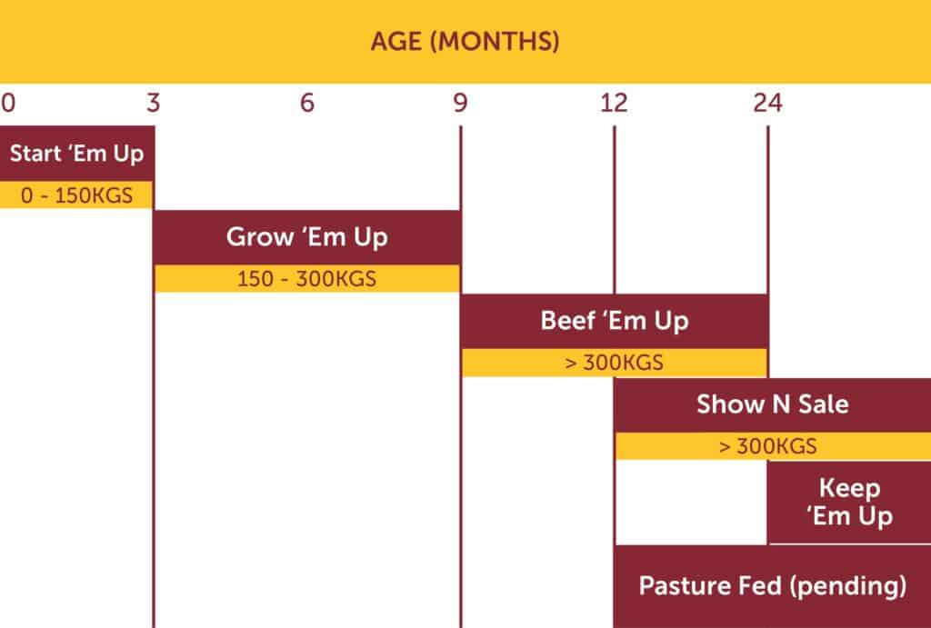 Mash Products Graph