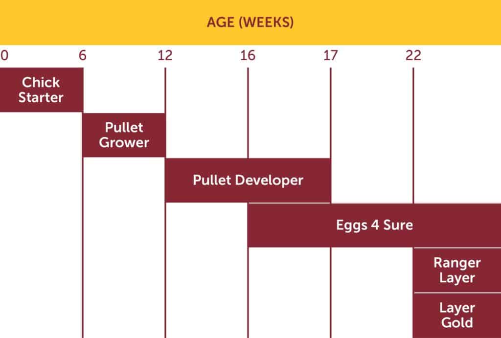 Mash Products Graph