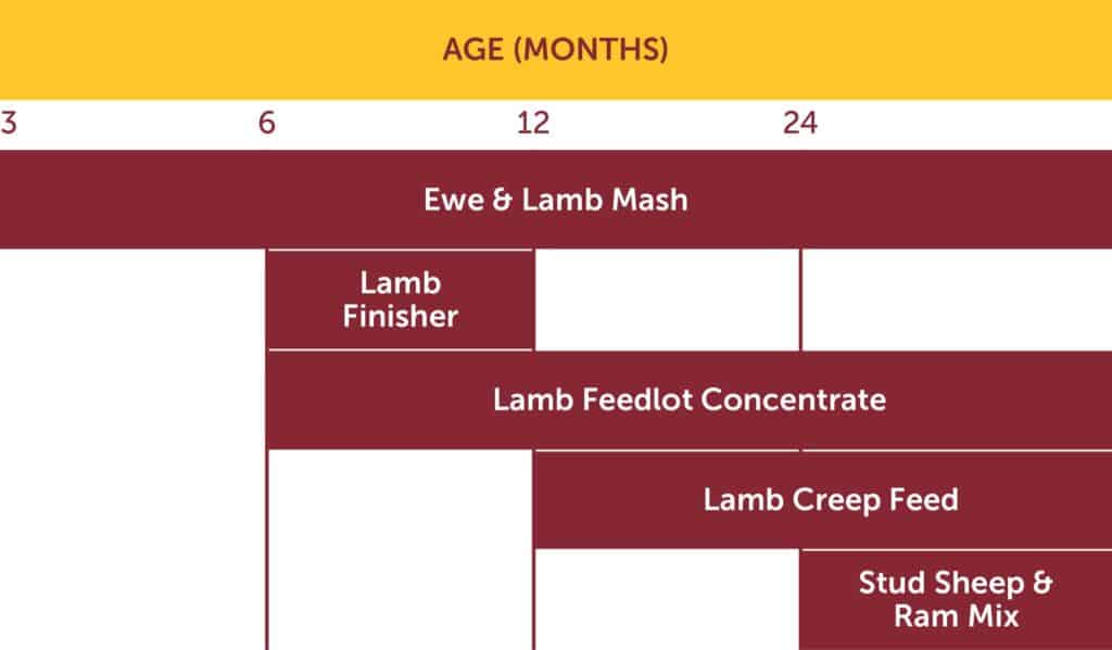 Mash Products Graph